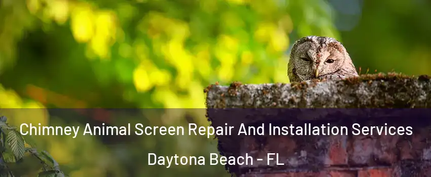  Chimney Animal Screen Repair And Installation Services Daytona Beach - FL