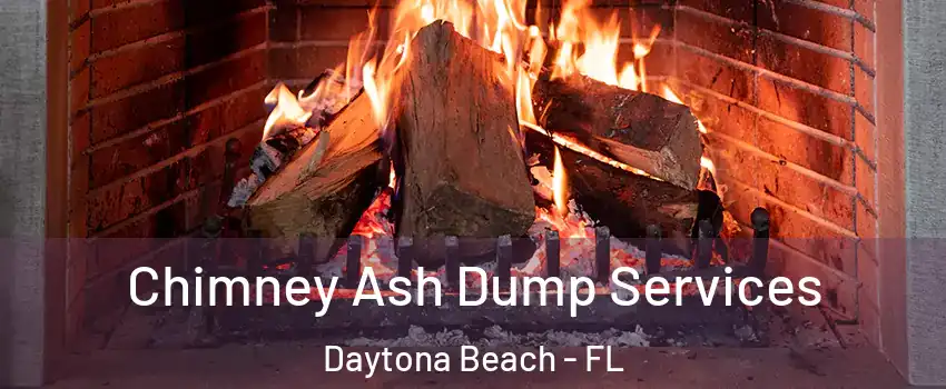  Chimney Ash Dump Services Daytona Beach - FL
