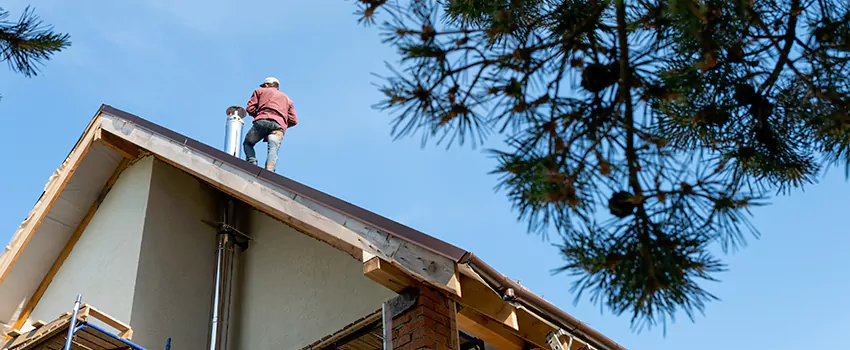 Birds Removal Contractors from Chimney in Daytona Beach, FL